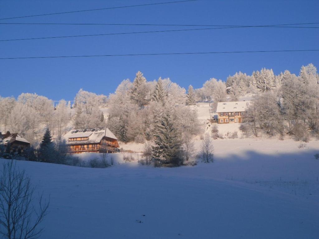 Hotel Landgasthaus Gemsennest Feldberg  Exterior foto