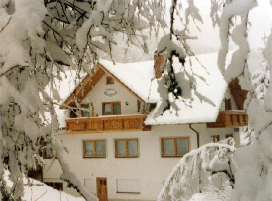 Hotel Landgasthaus Gemsennest Feldberg  Exterior foto