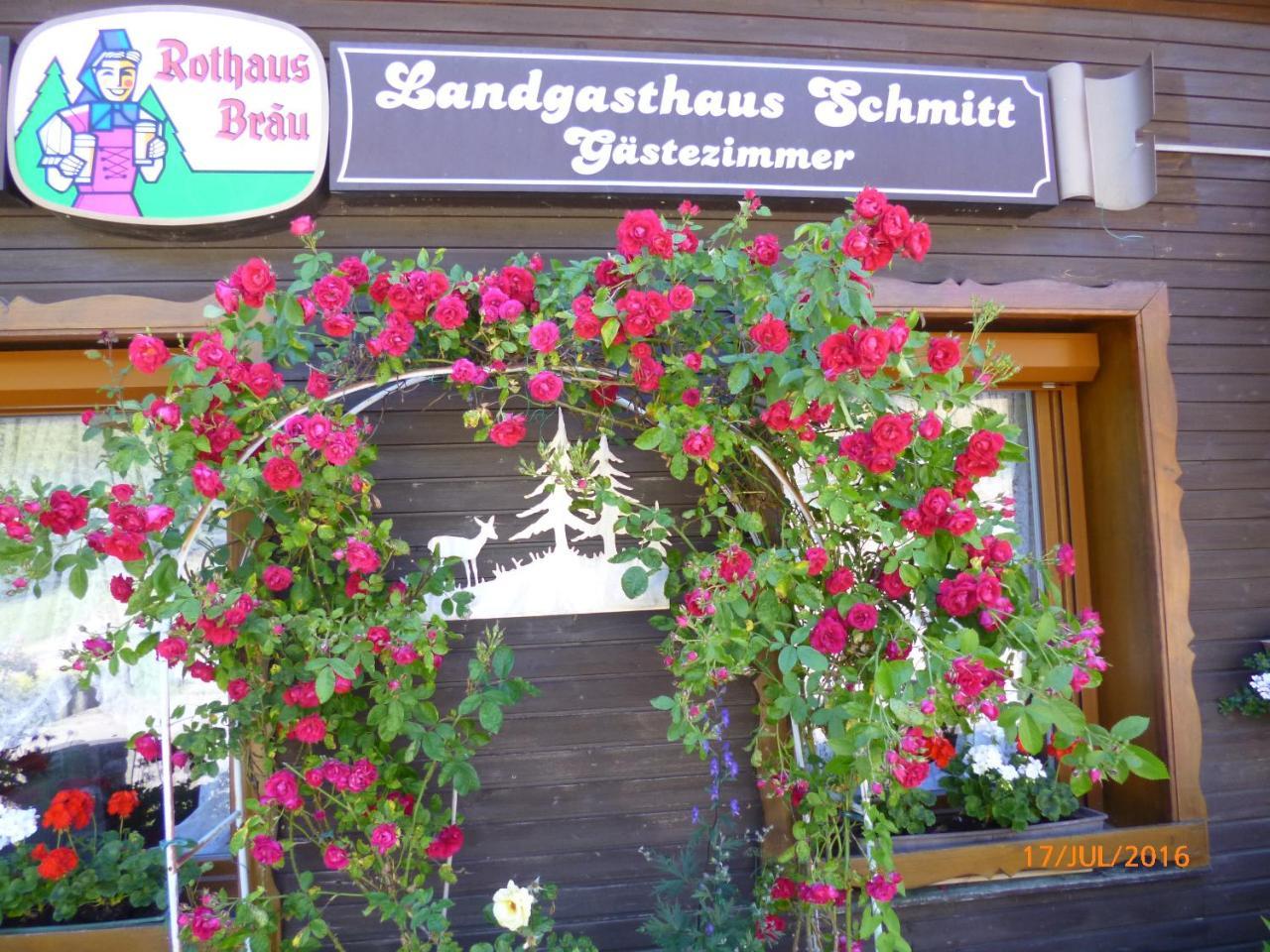 Hotel Landgasthaus Gemsennest Feldberg  Exterior foto